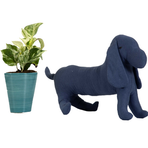 Dog Knitted Dark Blue Stuffed/Plush/Soft Pet Toy | 100% Premium Cotton - Mojopanda Organic Store