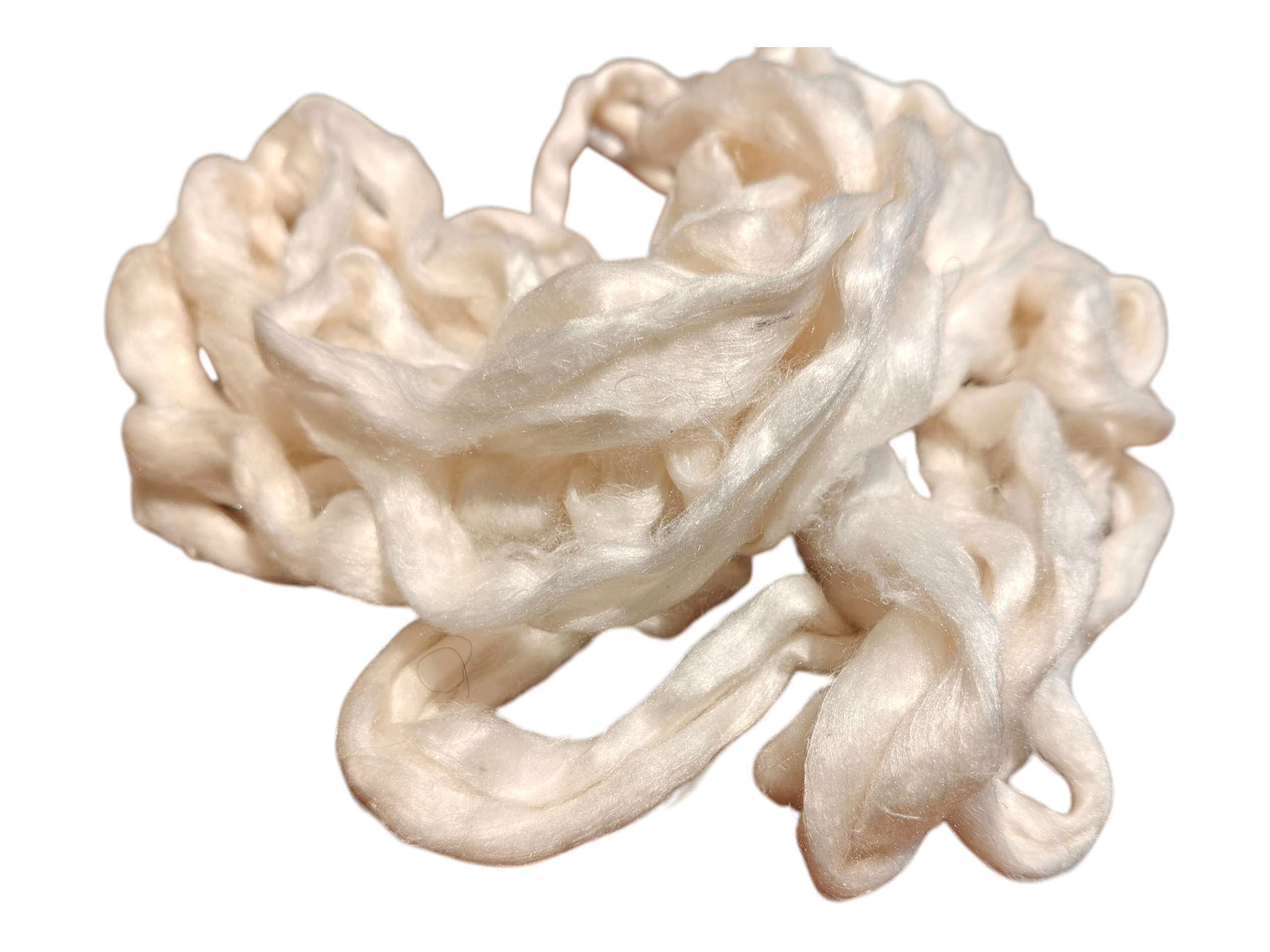 Silk Eri  Fiber  carded - Mojopanda Organic  Store