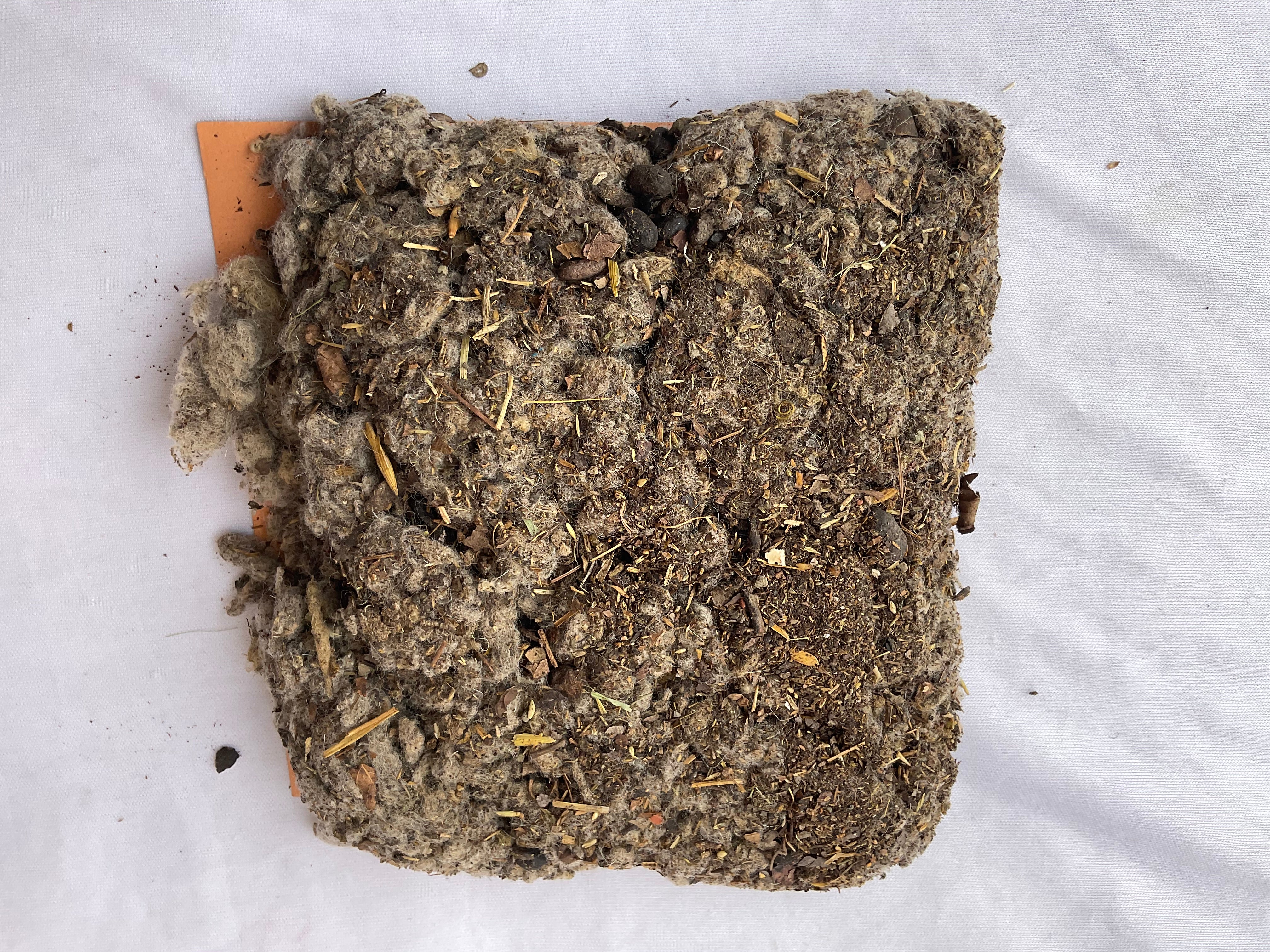 Wool Mulch - Mojopanda Organic  Store