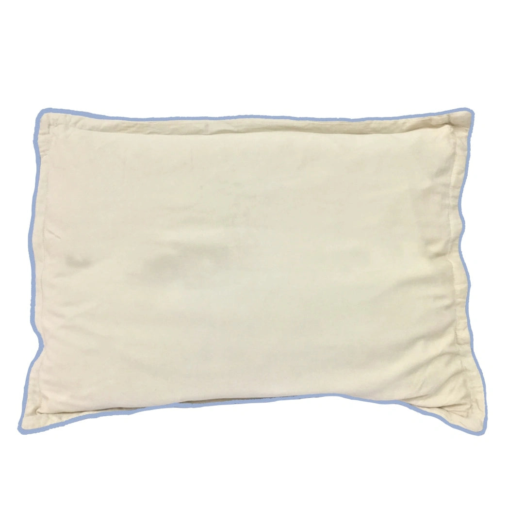 Pillow with cover | Eri-silk pillow | - Mojopanda Organic  Store