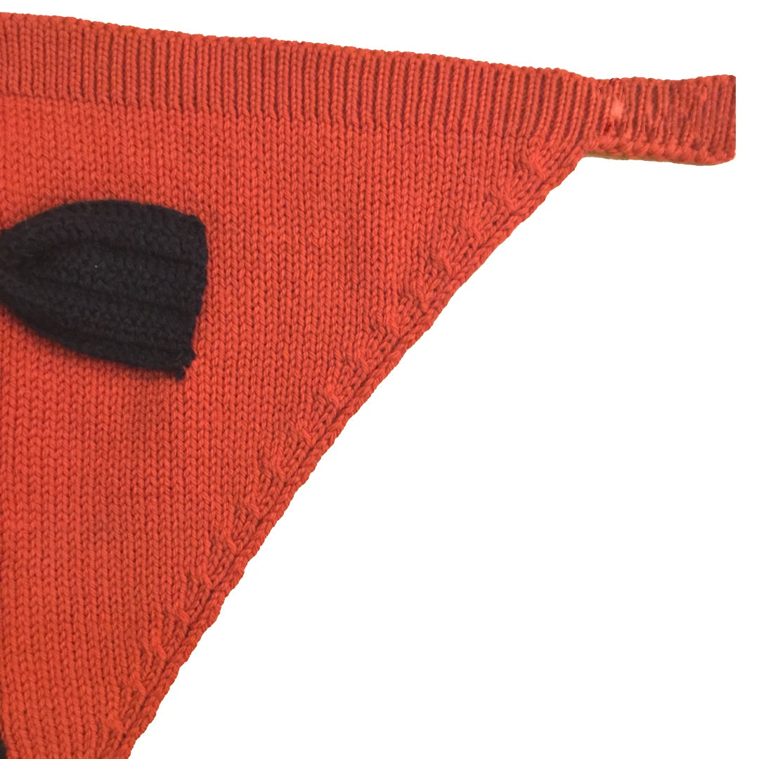 DuoColor Pet Bandana with Attached Bow - Mojopanda Organic  Store